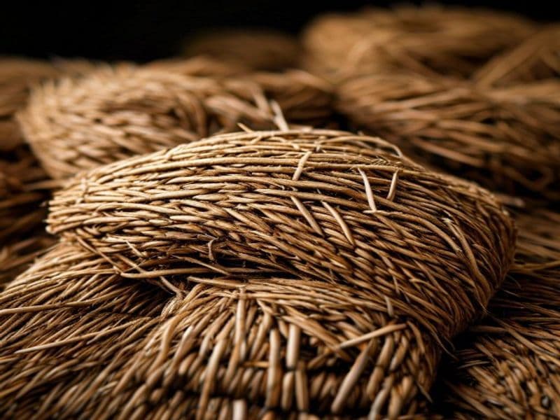 Coco Fiber